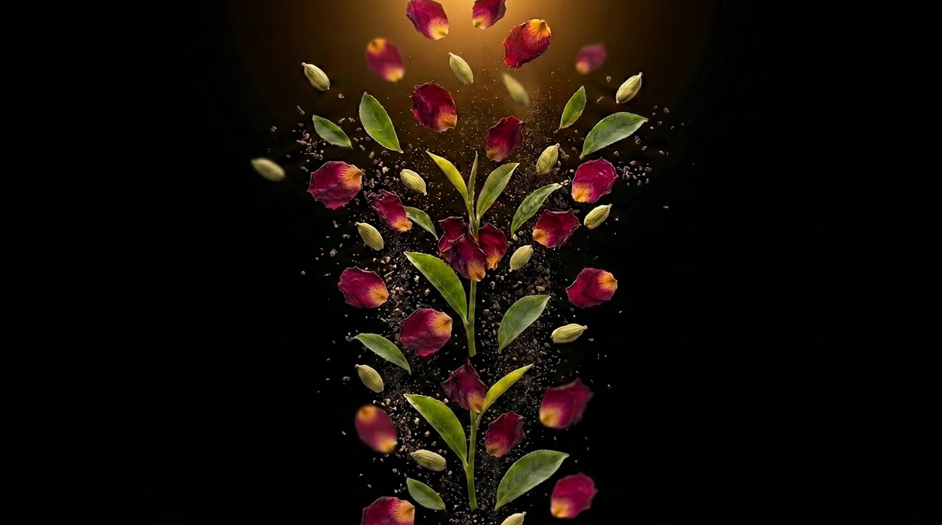 Rose petals, tea leaves and cardamom pods falling through the dark
